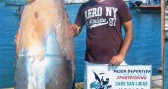 Fishermen catch and lose 300 pound (136 kg) fish in Cabo