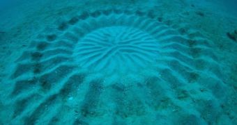 Mystery circle found off the coast of Japan