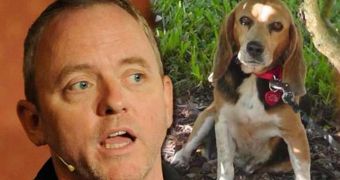 Dennis Lehane now desperate to find his lost dog,Tessa