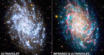 Two pictures of the M33 galaxy. On the left, images from GALEX alone; on the right, composite photograph from GALEX's UV survery and Spitzer's Infrared studies