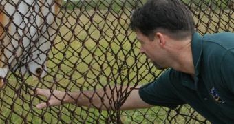 Phil Metzger showing the effect of a flying piece of concrete on a chain fence