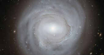 Euclid will study the large-scale disposition of galaxies, in order to determine the dark architecture of the Universe