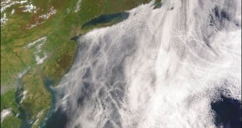 Satellite image of w:ship tracks, clouds created by the exhaust of ship smokestacks