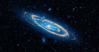 WISE shows the Andromeda galaxy in one of its four infrared wavelength bands
