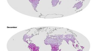 A first-of-a-kind global map of land plant fluorescence shows stronger photosynthetic activity in the Northern Hemisphere in July, and the reverse in December