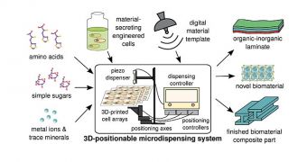 NASA 3D bioprinting chart