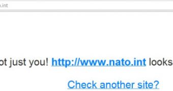 NATO.int taken down by hackers