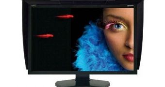NEC shows off high-end professional display