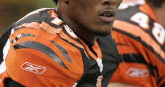 Cincinnati Bengals receiver Chris Henry, 26, dies in hospital
