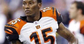 Chris Henry is in critical condition after falling from the bed of a moving pickup truck