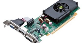 NVIDIA Graphics Cards Surface, GeForce 310 and GeForce 205