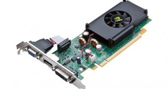 NVIDIA details GeForce G210 graphics card