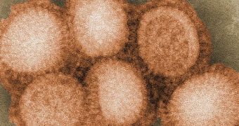 The H1N1 virus