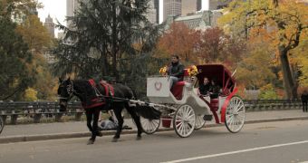 Mayor Bill be Blasio announces plans to ban horse-drawn carriages in NYC