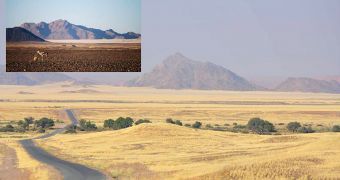 Grass now covers much of the stony desert of Namibia, where there had been no plants