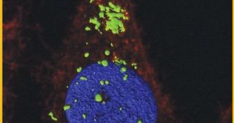 Nanodisks Allow an Effective Gene Therapy