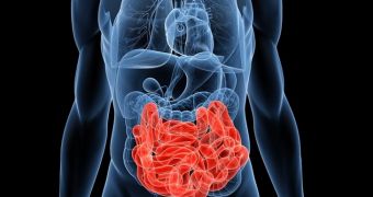 Researchers develop nanojuice expected to help doctors examine the small intestine