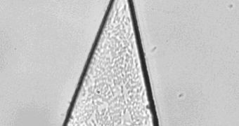 A triangle of epoxy with bacteria stuck to it: the bacteria rotated the triangle, stopping when exposed to ultraviolet light.