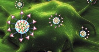 Drug-carrying nanoparticles designed by MIT and MGH researchers are decorated with tags that bind to molecules found on the surface of tumor cells