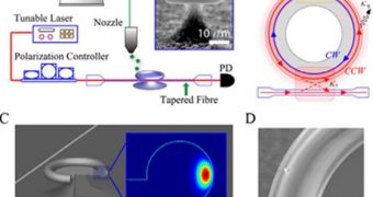 Nanoparticles Brought into Focus via New Method