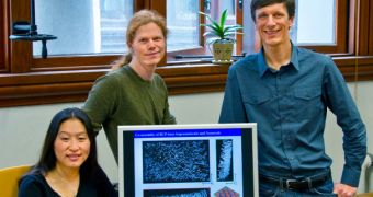 From left: Ting Xu, Kari Thorkelsson and Peter Ercius, members of the team that developed an inexpensive technique for inducing nanorods to self-assemble into 3D macroscopic structures