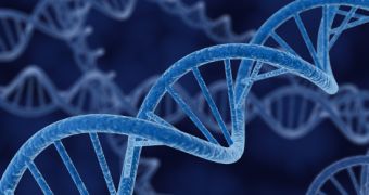 Nanoscale structures engineered from DNA strands could make drug delivery easier, more effective
