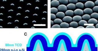 The nanoscale dome structures are cleary visible in this image of a revolutionarily new type of solar cells