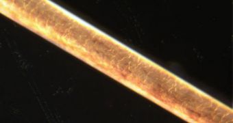 The new microrockets are 1,000 times smaller than the width of a human hair