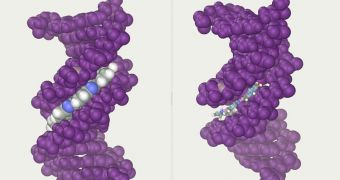 New nanoslinky can measure DNA molecules