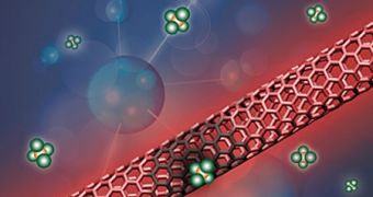 Nanotube Track Individual Molecules in Water