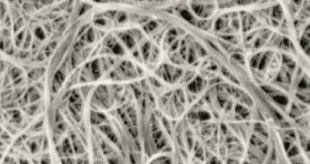 Carbon nanotubes offer the basis for a new type of more affordable CCS technology
