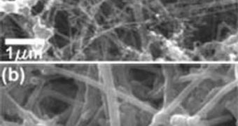 Carbon nanowires coated with silicon (bottom) produces a material that can store six times as much charge as the graphite used in today’s lithium battery electrodes. (Bare carbon nanowires shown at top