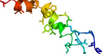 Synthesis of the neuropeptide Orexin-A protein is also reduced in people with narcolepsy