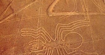 This spider is a part of the Nazca Lines complex