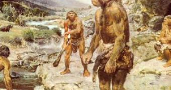 Neanderthals Could Cope with Warming Climate
