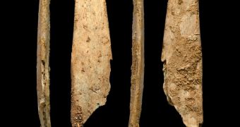 Evidence suggests Neanderthals used to craft specialized bone tools, use them to make leather smoother and more resistant to rain