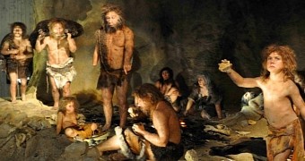 Researchers suspect Neanderthals were cannibals