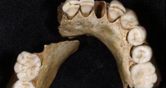 Most European Neanderthals died off about 50,000 years ago