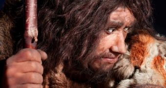 Study finds there is no evidence to suggest Neanderthals were less intelligent than modern humans