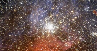 The brilliant star cluster NGC 2100 lies in the Large Magellanic Cloud