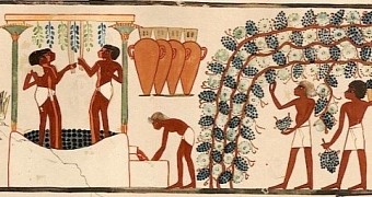 Ancient Egyptians were very fond of wine