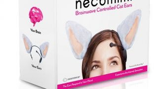 Necomini Brainwave Cat Ears Now in the US