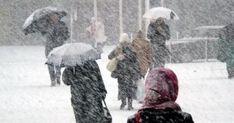 Nemo Blizzard to Bury Northeastern US Under Three Feet of Snow