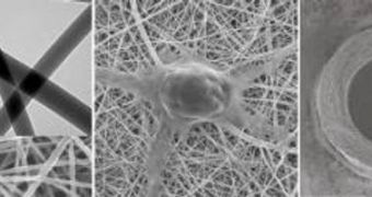 Left panel: a closeup of chitosan and polyester fibers woven at the nanoscale. Middle panel: a nerve cell growing on the resulting mesh. Right panel: a cross-section of the synthetic nerve guide