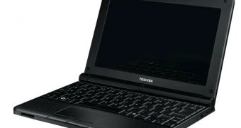 Netbooks may return lower profits because of high display costs