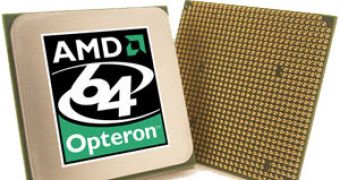 New AMD Opterons for Intel's Disliking