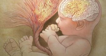New Autism Study Links the Condition to Abnormalities in the Placenta