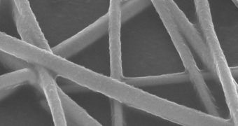 Snapshot showing a detail from a silver nanowire network created at UCLA