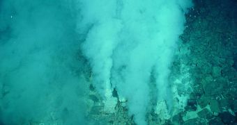 Hydrothermal vents are extreme environments on our planet, which could help us figure out how to search for life elsewhere in the solar system, and beyond