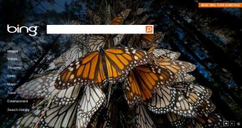 Monarch butterflies roosting at a reserve in Angangueo, Mexico